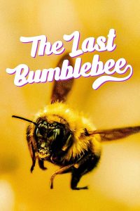 The.Last.Bumblebee.2024.1080p.WEB.H264-CBFM – 5.1 GB