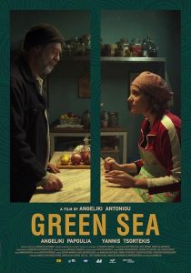 Green.Sea.2020.1080p.NF.WEB-DL.DDP2.0.x264-gattopollo – 3.6 GB