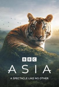 Asia.2024.S01.720p.BluRay.x264-REDPANDA – 19.4 GB