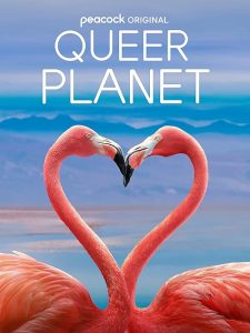 Queer.Planet.2024.1080p.WEB.H264-RVKD – 5.1 GB