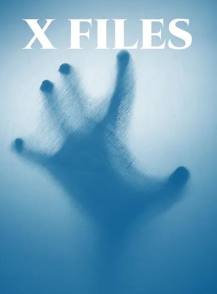 X.Files.2024.1080p.WEB-DL.AAC2.0.H264-BobDobbs – 2.3 GB