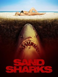 Sand.Sharks.2012.1080p.WEB.H264-RVKD – 5.1 GB