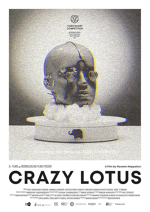 Crazy Lotus