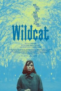 Wildcat.2023.1080p.BluRay.DDP5.1.x264-ZoroSenpai – 12.3 GB