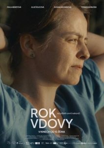 Year.of.the.Widow.2024.1080p.MAX.WEB-DL.DDP.5.1.x264-ZooeyDes – 2.7 GB