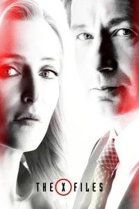 The.X-Files.S09.720p.DSNP.WEB-DL.DD+5.1.H.264-playWEB – 25.2 GB