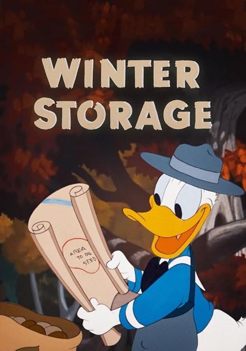 Winter Storage