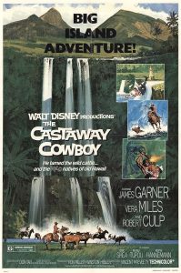 The.Castaway.Cowboy.1974.1080p.AMZN.WEB-DL.DDP2.0.x264-ABM – 9.0 GB