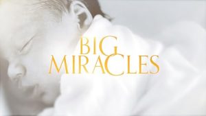 Big.Miracles.S03.720p.WEB-DL.AAC2.0.H.264-WH – 4.2 GB