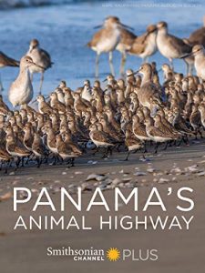 Panamas.Animal.Highway.2017.1080p.WEB.h264-BAE – 1.6 GB
