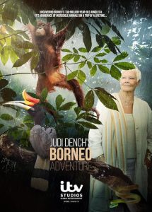Judi.Denchs.Wild.Borneo.Adventure.S01.1080p.WEB-DL.AAC2.0.H.264-BTN – 4.2 GB