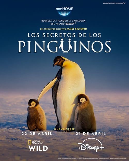 Secrets of the Penguins