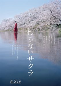 Sakura.2024.1080p.BluRay.DDP5.1.x264-ZoroSenpai – 14.4 GB
