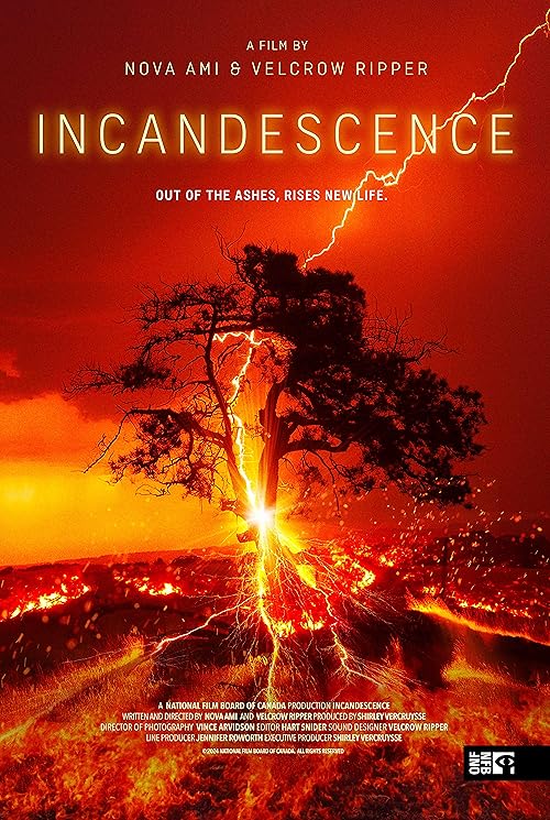 Incandescence