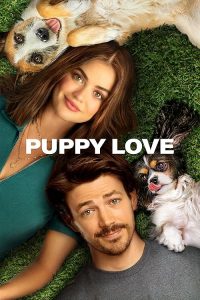 Puppy.Love.2023.2160p.AMZN.WEB-DL.DDP5.1.Atmos.H.265-MADSKY – 11.7 GB