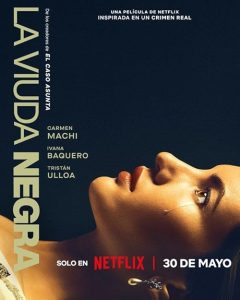 A.Widows.Game.2025.2160p.NF.WEB-DL.DDP5.1.Atmos.HDR.H.265-HHWEB – 17.4 GB