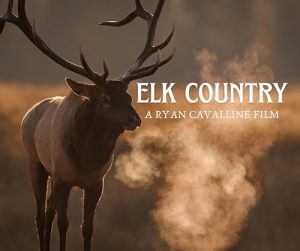 Elk.Country.2025.1080p.WEB.H264-CBFM – 3.4 GB