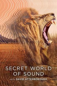 Secret.World.of.Sound.with.David.Attenborough.S01.2160p.NF.WEB-DL.DD+5.1.Atmos.DoVi.HDR.H.265-playWEB – 11.8 GB