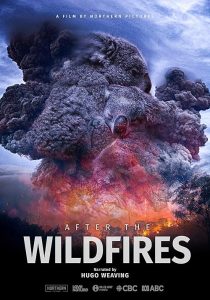 After.the.Wildfires.2020.1080p.WEB.h264-BAWD – 2.8 GB