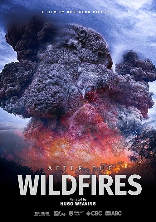 After the Wildfires