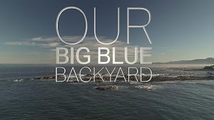 Our.Big.Blue.Backyard.S03.720p.TVNZ.WEB-DL.AAC2.0.H.264-Gloft – 4.7 GB
