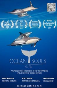 Ocean.Souls.2020.1080P.WEB.H264-GRASHOPR – 2.4 GB