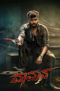 Vaamana.2025.720p.AMZN.WEB-DL.DDP5.1.H.264-vase – 3.8 GB