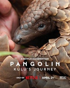 Pangolin.Kulus.Journey.2025.2160p.NF.WEB-DL.DDP5.1.Atmos.H.265-HHWEB – 7.8 GB