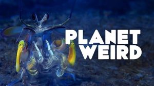 Planet.Weird.S01.1080p.HULU.WEB-DL.DD+5.1.H.264-playWEB – 13.3 GB