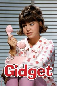 Gidget.S01.1080p.BluRay.FLAC2.0.H.264-BTN – 81.0 GB
