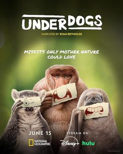 Underdogs.S01.720p.DSNP.WEB-DL.DDP5.1.H.264-NTb – 4.9 GB