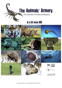 Animal.Armory.S01.720p.WEB-DL.AAC2.0.H.264-BTN – 5.8 GB