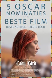 Lady.Bird.2017.1080p.BluRay.H264-MiSERABLE – 23.1 GB