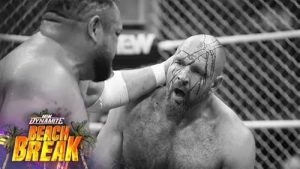 All.Elite.Wrestling.Dynamite.Beach.Break.2025.720p.WEB.h264-KYR – 3.6 GB