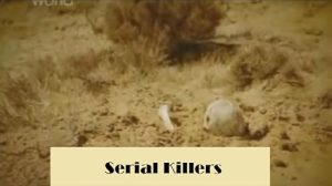 Crimes.That.Shook.The.World.S01.1080p.MAX.WEB-DL.AAC2.0.H.264-aurez29 – 10.7 GB