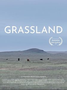 Grassland.2023.1080p.WEB.H264-CBFM – 2.4 GB