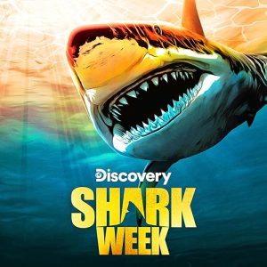 Shark.Week.2025.How.to.Survive.a.Shark.Attack.1080p.WEB.h264-FREQUENCY – 2.9 GB