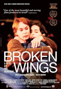 Broken.Wings.2002.1080p.NF.WEB-DL.x264-Sweet-Star – 3.1 GB