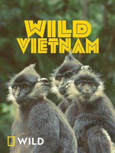 Wild.Vietnam.S01.1080p.DSNP.WEB-DL.DDP5.1.H.264-NTb – 4.3 GB
