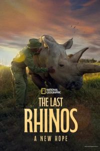 The.Last.Rhinos.A.New.Hope.2025.2160p.DSNP.WEB-DL.DDP5.1.DV.HDR.HEVC-NTb – 4.6 GB
