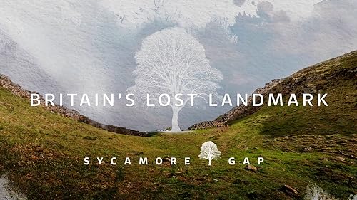 Sycamore Gap: Britain's Lost Landmark