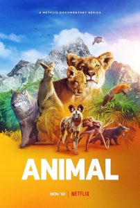 Animal.S01.2160p.NF.WEB-DL.DDP5.1.Atmos.HDR.HEVC-HHWEB – 24.3 GB