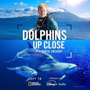 Dolphins.Up.Close.with.Bertie.Gregory.2025.HDR.2160p.WEB.h265-EDITH – 5.1 GB