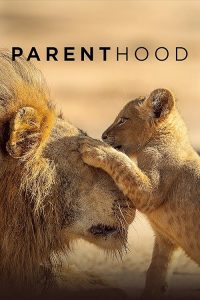 Parenthood.2025.S01.1080p.BluRay.x264-ATTENBY – 37.9 GB