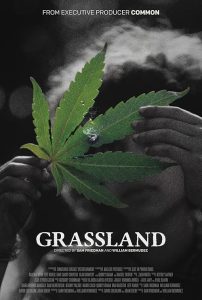 Grassland.2024.1080p.AMZN.WEB-DL.DD+5.1.H.264-playWEB – 4.7 GB