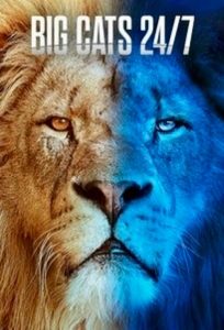Big.Cats.24-7.S02.720p.AMZN.WEB-DL.DDP2.0.H.264-RAWR – 12.8 GB