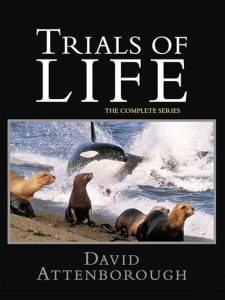 The.Trials.of.Life.1990.720p.Bluray.FLAC.2.0.x264-DON – 61.5 GB