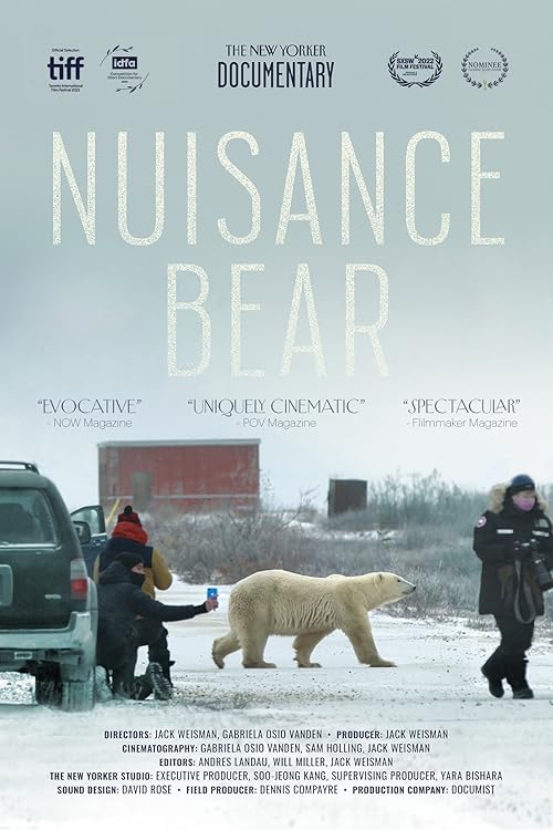 Nuisance Bear