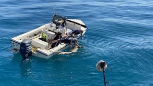 Shark.Attack.Investigation.The.Paige.Winter.Story.2021.1080p.WEB.H264-JAVLAR – 2.3 GB