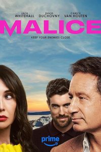 Malice.2025.S01.2160p.AMZN.WEB-DL.DD+5.1.HDR.H.265-playWEB – 30.7 GB